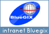 intranet Bluegix